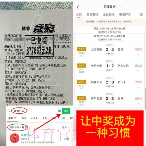 详解世界杯下注平台功能优劣对比分析